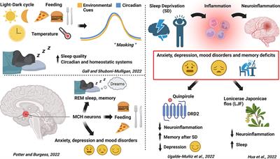 Editorial: Novel pharmacological treatments in sleep disorders